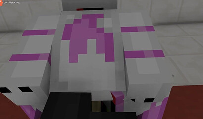 The guy created porn in the game Minecraft