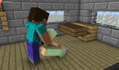Porn in the game Minecraft