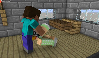 Porn in the game Minecraft