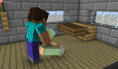 Porn in the game Minecraft