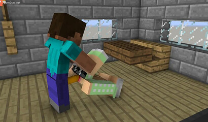 Porn in the game Minecraft