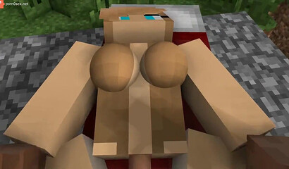 Sex in the world of Minecraft
