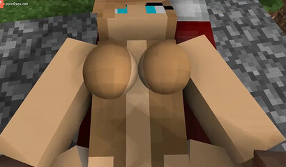 Sex in the world of Minecraft
