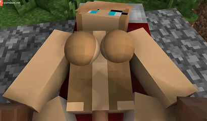 Sex in the world of Minecraft