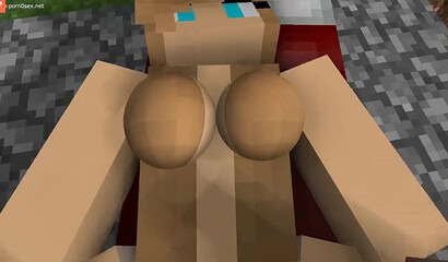 Sex in the world of Minecraft