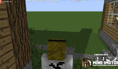 Minecraft for adults