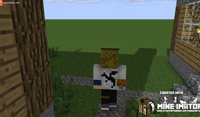 Minecraft for adults