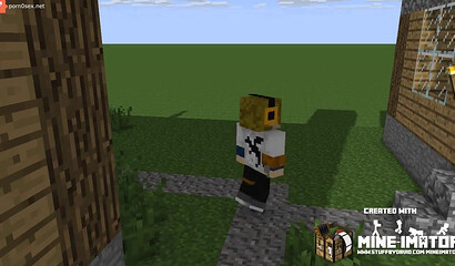 Minecraft for adults