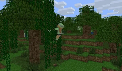 Sex in the game Minecraft (Minecraft)