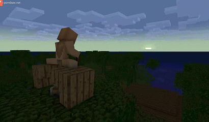 Sex in the game Minecraft (Minecraft)