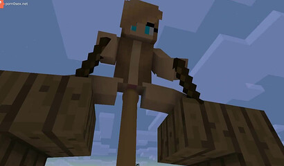 Sex in the game Minecraft (Minecraft)