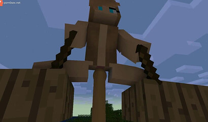 Sex in the game Minecraft (Minecraft)