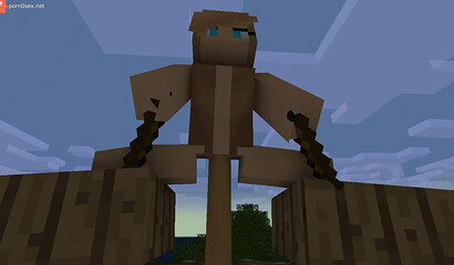 Sex in the game Minecraft (Minecraft)
