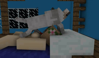 Porn fantasies in the game Minecraft