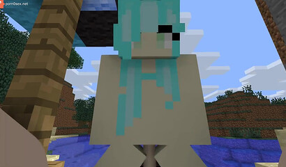 Crafted porn in Minecraft