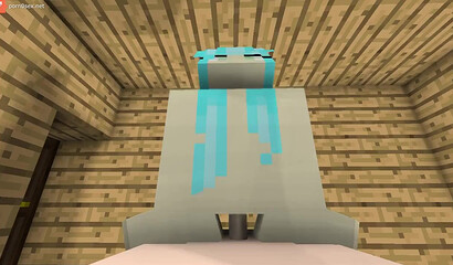 Crafted porn in Minecraft