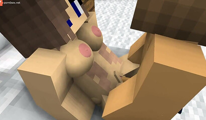 Sex with my wife in Minecraft