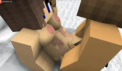 Sex with my wife in Minecraft
