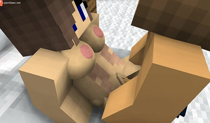 Sex with my wife in Minecraft