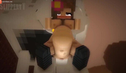 Porn cartoon Minecraft (Minecraft)