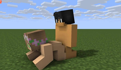 Sex on the grass in Minecraft