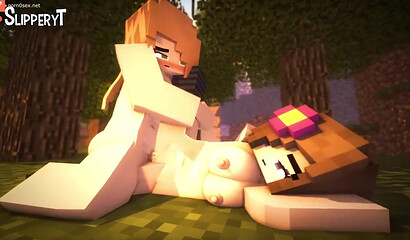 Porn cartoon from the game Minecraft