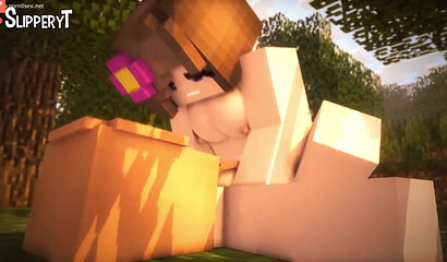 Porn cartoon from the game Minecraft