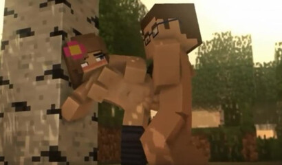 Intimate cartoons from Minecraft