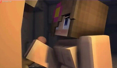 Intimate cartoons from Minecraft