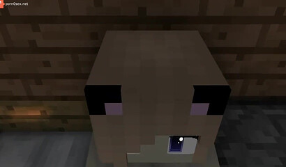 Porn from the Minecraft game