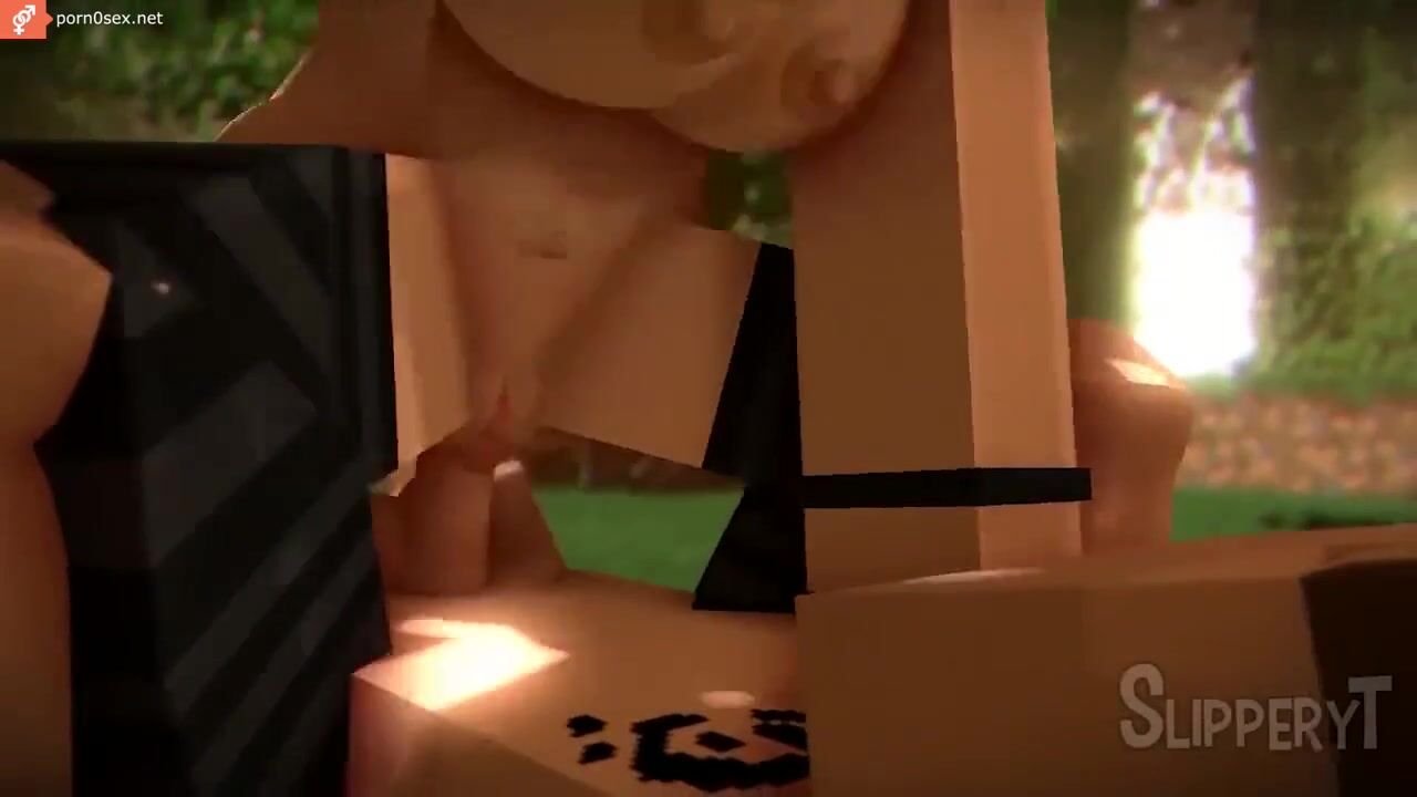 Porn with a girl from Minecraft