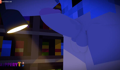 Sex with a student in the Minecraft library