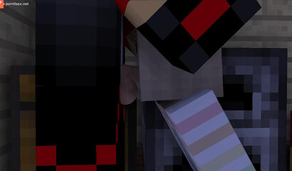 The guy made sex in the game Minecraft