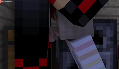The guy made sex in the game Minecraft