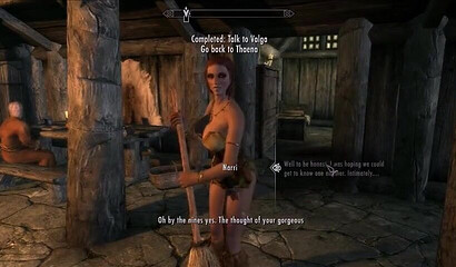 Characters from Skyrim are not shy and have public sex in a tavern