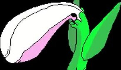 The heroines of the pixel XXX game fuck with a variety of monsters