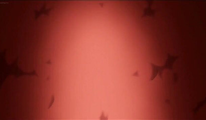 Sensitive hentai girls from the sex center fuck everyone in a row