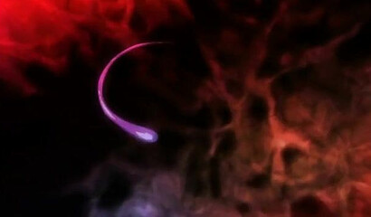 Kunoichi from the hentai cartoon is fucked hard by monster tentacles