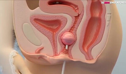 3D porn X-ray: young girl masturbates with a chupa-chupa and moans