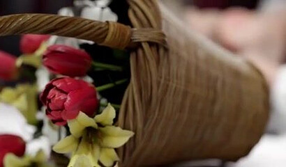 3D sex selection with fucking sexy Final Fantasy heroines