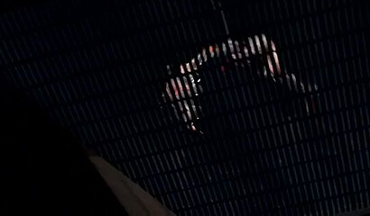 Busty ninja girls in 3D cartoon are fucked by big monster dicks