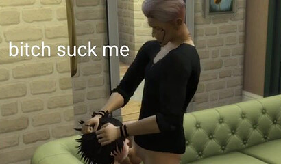 A gay couple has anal sex in a cartoon parody of the Sims 3 game.