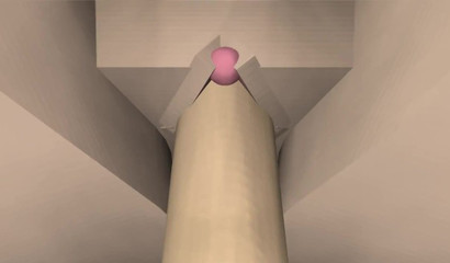 Непослушную девушку из Minecraft 3D деревенские жители оттрахали в задницу в библиотеке