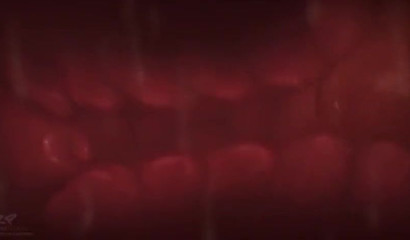 Petite 3D furry Pokemon cutie takes Charizard's cock in her holes