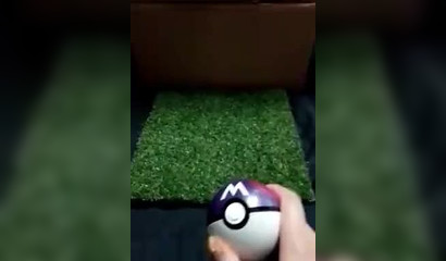 Gardevoir战利品(@kanihamiso在Twitter)