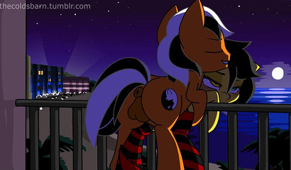 Pony Night Motel Beach Sex Animation
