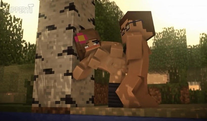 Recopilación de escenas porno de Minecraft