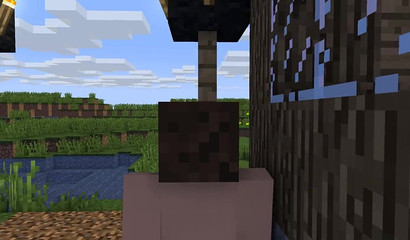 Minecraft 3D çift banging