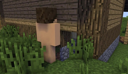 Minecraft 3D çift banging