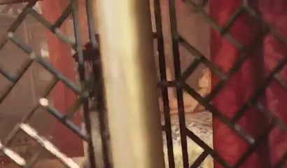 POV 3D Rapunzel ingests big load of Disney cum